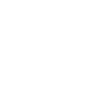 логотип Дирекции
